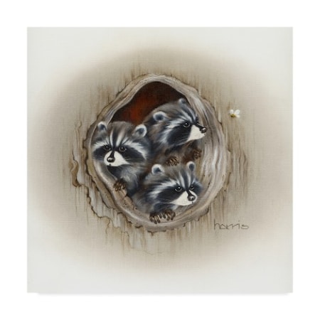 Peggy Harris 'Raccoons In Hole' Canvas Art,24x24